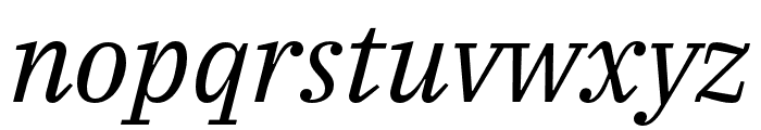 IBM Plex Serif Italic Font LOWERCASE
