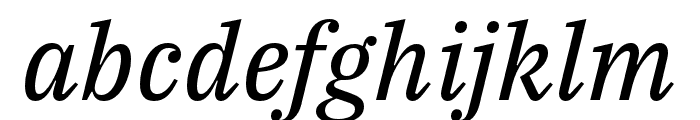 IBM Plex Serif Text Italic Font LOWERCASE