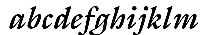 ITC Galliard Pro Bold Italic Font LOWERCASE