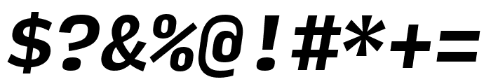 Input Mono Narrow Bold Italic Font OTHER CHARS