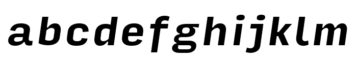 Input Sans Compressed Bold Italic Font LOWERCASE