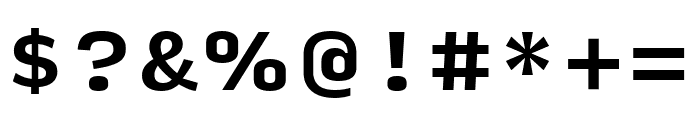 Input Serif Bold Font OTHER CHARS