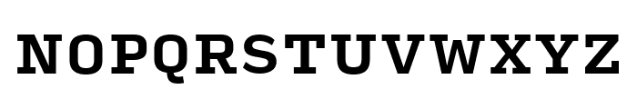 Input Serif Bold Font UPPERCASE