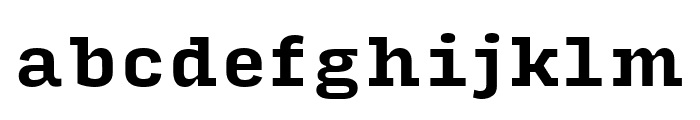 Input Serif Bold Font LOWERCASE