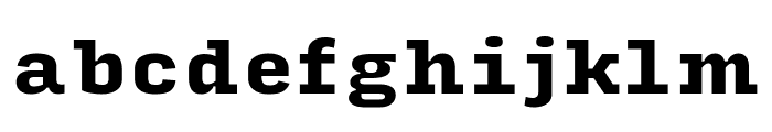 Input Serif Compressed Black Font LOWERCASE