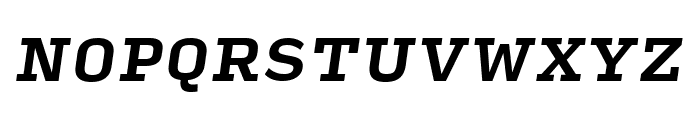 Input Serif Compressed Bold Italic Font UPPERCASE