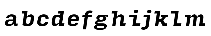Input Serif Compressed Bold Italic Font LOWERCASE