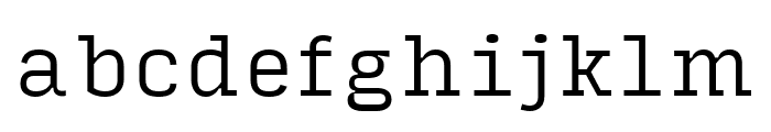 Input Serif Compressed Light Font LOWERCASE