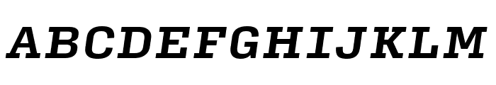 Input Serif Condensed Bold Italic Font UPPERCASE