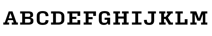 Input Serif Condensed Bold Font UPPERCASE