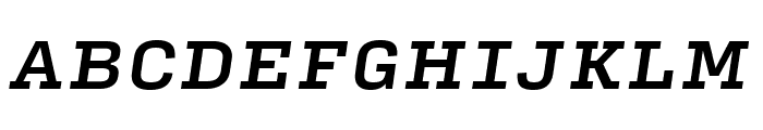 Input Serif Condensed Medium Italic Font UPPERCASE