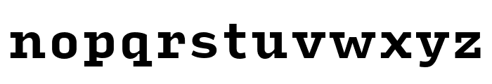 Input Serif Narrow Bold Font LOWERCASE
