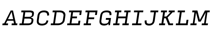 Input Serif Narrow Italic Font UPPERCASE