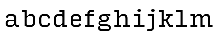 Input Serif Narrow Regular Font LOWERCASE