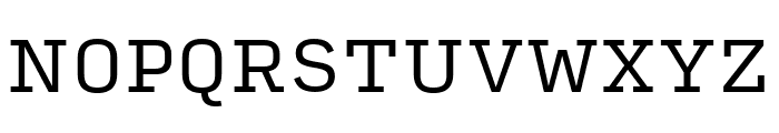 Input Serif Regular Font UPPERCASE