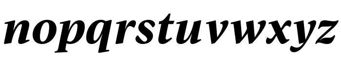 IvyJournal Bold Italic Font LOWERCASE