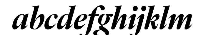 IvyOra Display Bold Italic Font LOWERCASE