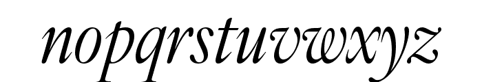 IvyOra Display Italic Font LOWERCASE