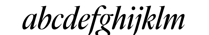 IvyOra Display Medium Italic Font LOWERCASE