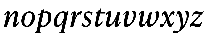 IvyPresto Text Italic Font LOWERCASE