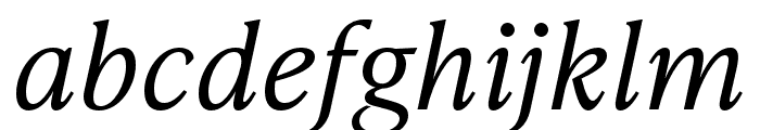 IvyPresto Text Light Italic Font LOWERCASE