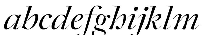 Joly Display Regular Italic Font LOWERCASE