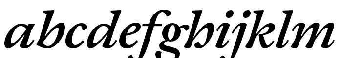 Joly Text Bold Italic FONT