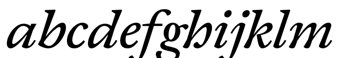 Joly Text Medium Italic FONT