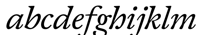 Joly Text Regular Italic FONT