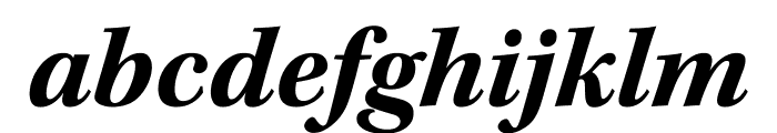 Kepler Std Bold Extended Italic Display Font LOWERCASE