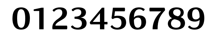 Kigelia Adlam Bold Font OTHER CHARS