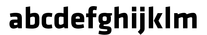 Klavika Basic Bold Font LOWERCASE