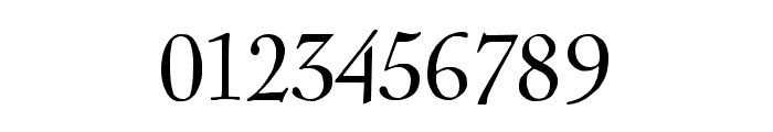 LTC Nicholas Cochin Pro Regular Font OTHER CHARS