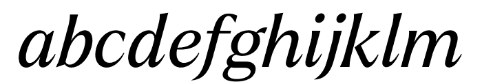 Larken Italic Font LOWERCASE