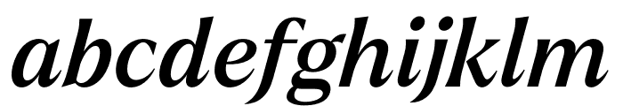 Larken Medium Italic Font LOWERCASE