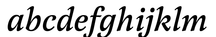 Latienne Pro Medium Italic Font LOWERCASE