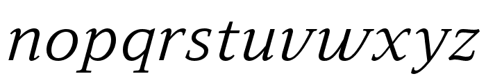 Leida Book Italic Font LOWERCASE