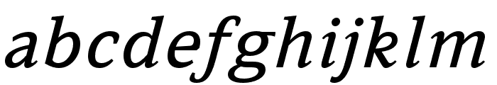 Leida Regular Italic Font LOWERCASE