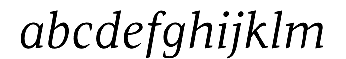 Leo Light Italic Font LOWERCASE