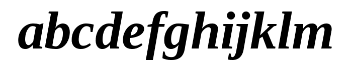 Liberation Serif Bold Italic Font LOWERCASE