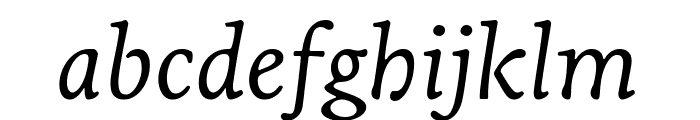 Livory Regular Italic Font LOWERCASE