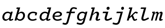 Logic Monospace Medium Italic Font LOWERCASE