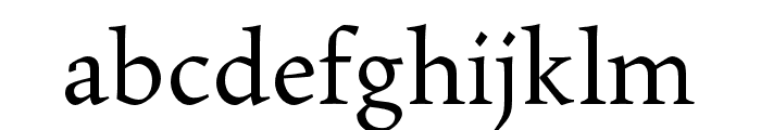 Maiola Regular Font LOWERCASE