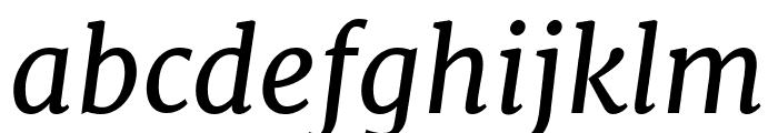 Merriweather Italic Font LOWERCASE