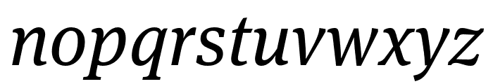 Meta Serif Pro Book Italic Font LOWERCASE