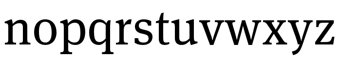 Meta Serif Pro Book Font LOWERCASE