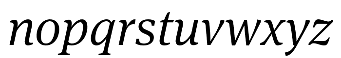 Meta Serif Pro Light Italic Font LOWERCASE