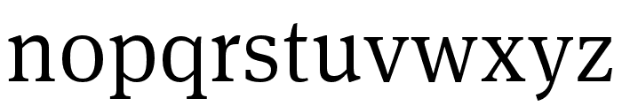 Meta Serif Pro Medium Font LOWERCASE