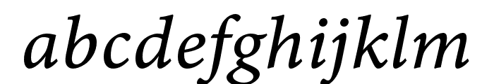 Minion 3 Caption Italic Font LOWERCASE