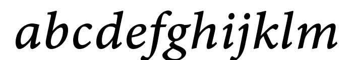 Minion 3 Caption Medium Italic Font LOWERCASE